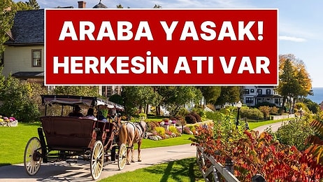 1898'den Beri Arabaların Yasak Olduğu Ada: Herkesin Atı Var
