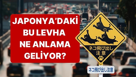 Japonya'daki Zıplayan Kedili Trafik Levhası Ne Anlama Geliyor?