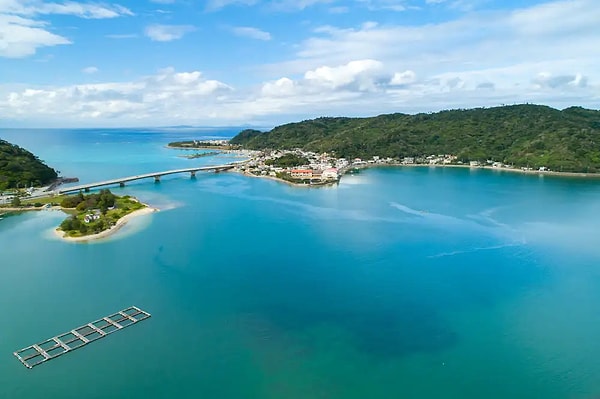 Mavi Bölgenin Kalbi