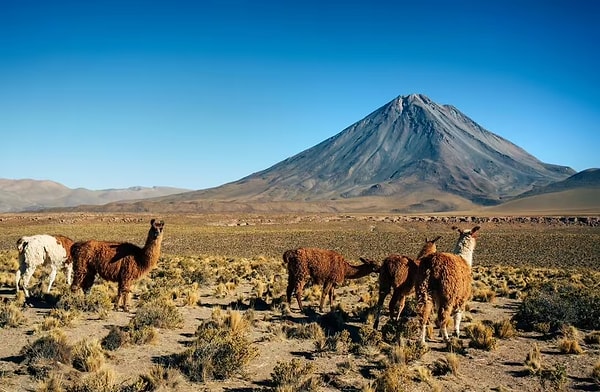 Dünyanın en kurak noktası: 500 yıldır yağmur görmeyen bölgeler var
