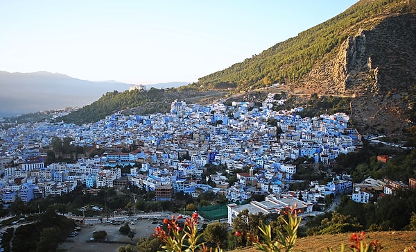 Mavilerin Ardındaki Sır