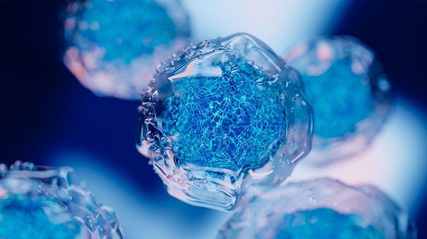 Vücudun dışarıdan temin etmek zorunda olduğu bu bileşik yaşamsal fonksiyonlar için kritik önem taşıyor