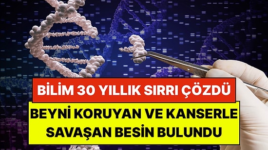 Bilim 30 Yıllık Sırrı Çözdü: Beyni Koruyan ve Kanserle Savaşan Gizli Besin Bulundu