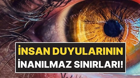 İnsan Duyularının Bilimsel Olarak Kanıtlanan Sınırları