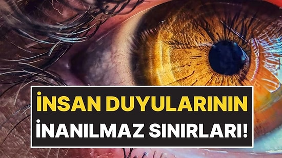 İnsan Duyularının Bilimsel Olarak Kanıtlanan Sınırları