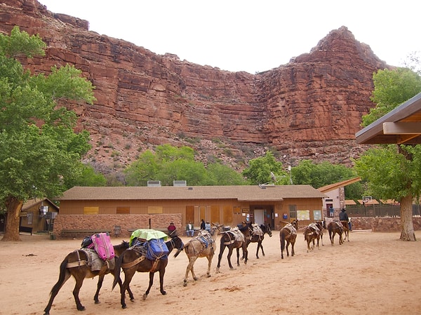 A Lifestyle Defying Time