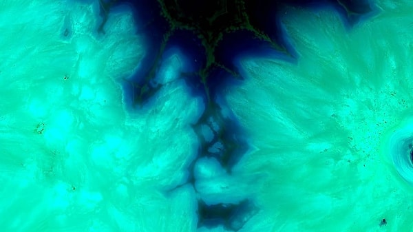 "Olo" Rengi Nedir ve Nasıl Yaratıldı?