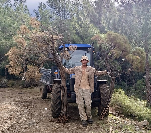 Marmaris Orman İşletme Müdürlüğü sorumluluk sahasındaki Hisarönü bölgesinde başlatılan bu girişim, iki kritik kazanç sağlıyor.
