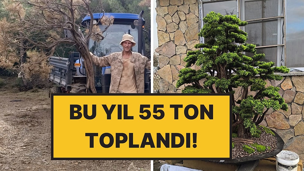 Kuru Geven Köylü İçin Kazanç Kapısına Dönüştü