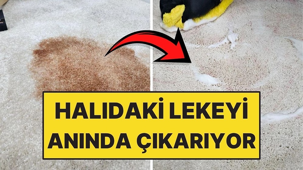 Herkeste Bulunan Malzeme Halıdaki Lekeleri Anında Temizliyor
