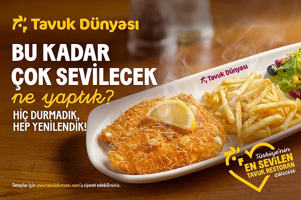 Araştırma Künyesi