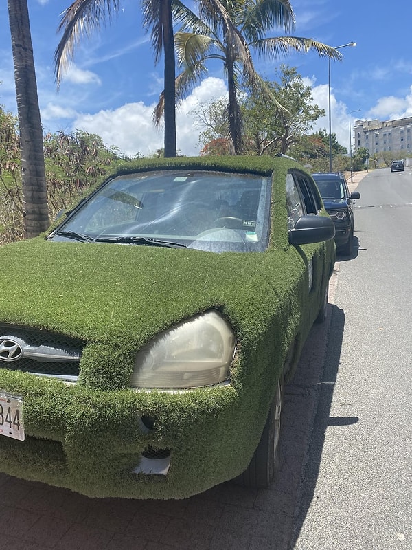 1. Doğaya olan tutkumuzu kimse sorgulayamaz!