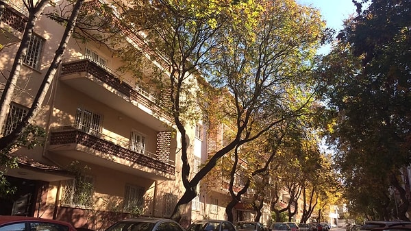 Tescil ya da koruma kararı çıkmadı.