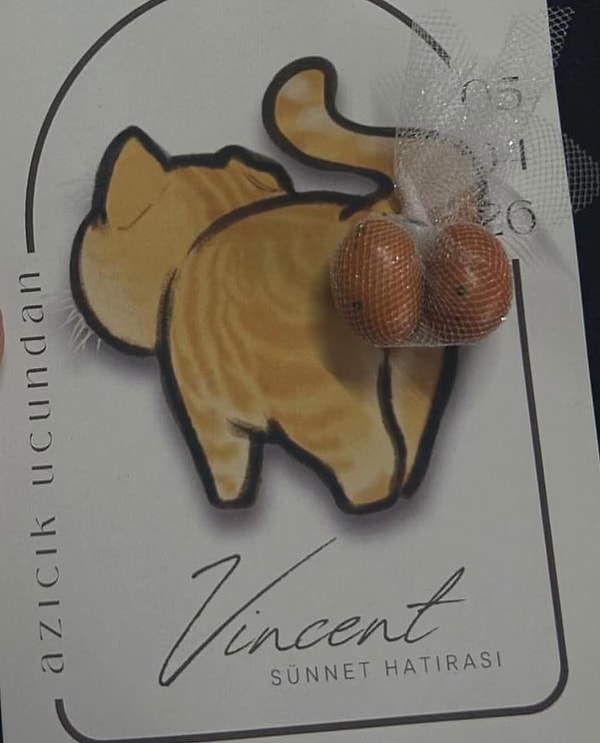 Sahibi bu anları sosyal medyada paylaşınca, video kısa sürede milyonlarca izlenmeye ulaştı.