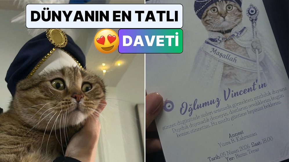 Kedi Sevgimiz Bu Noktaya Geldi: Bir Vatandaş Kedisine Sünnet Düğünü Düzenledi