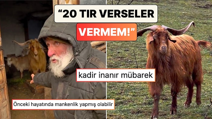 20 Tırla Takas Edilemeyen Karizma: Dünyanın En Havalı Keçisiyle Tanışın!