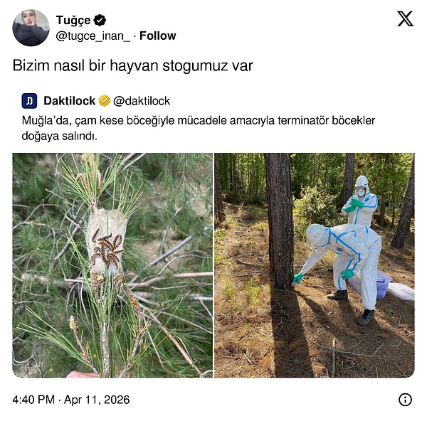 Biz sadece kedi değil komple hayvan ülkesiyiz.