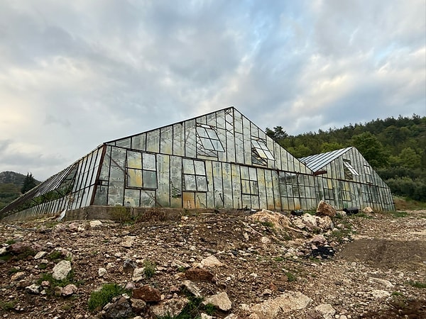 Bölgenin Türkiye pazarındaki stratejik önemine vurgu yapan Gündoğdu, üretim hacmine dair şu verileri paylaştı: