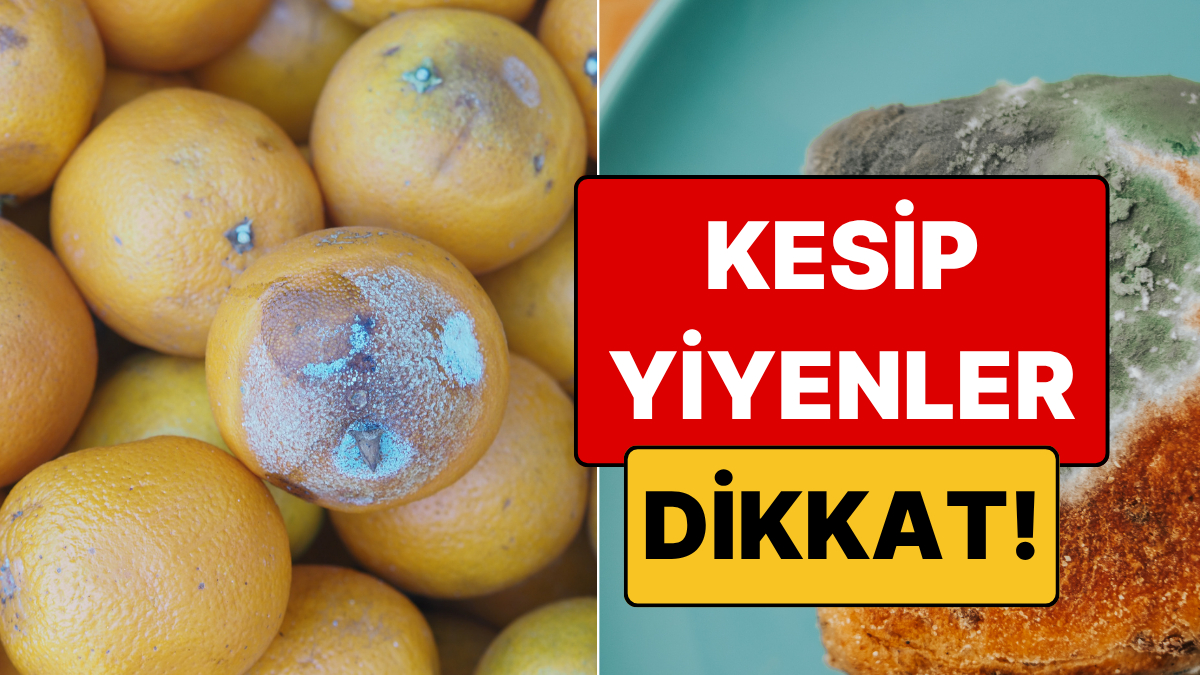 Küf Her Zaman Düşman Değil: Hangi Küflü Gıdalar Şifa, Hangileri Zehir Saçıyor?