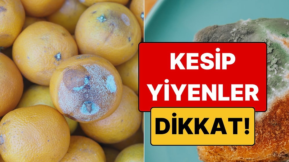 Küf Her Zaman Düşman Değil: Hangi Küflü Gıdalar Şifa, Hangileri Zehir Saçıyor?