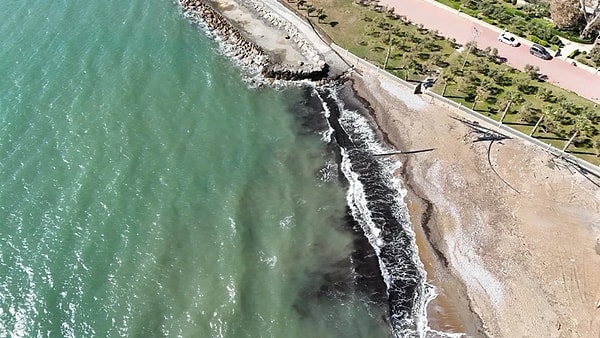 Alanya sahilindeki siyah tabaka panik yarattı.