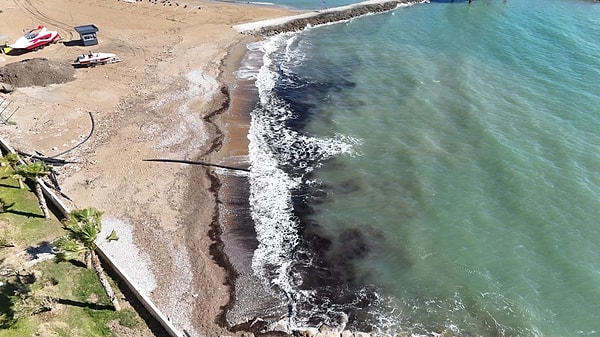 Dalga etkisiyle kıyıya vuran deniz çayırları olduğu anlaşıldı.