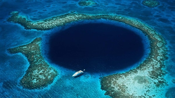 Mariana Çukuru'nda Hangi Canlılar Yaşıyor?