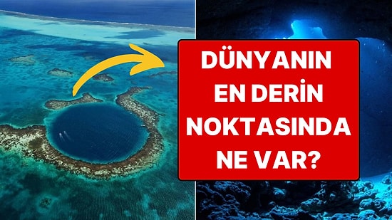 2025'in En Büyük Keşfi: Mariana Çukuru'nun Kilometrelerce Derininde Canlılar Varmış!