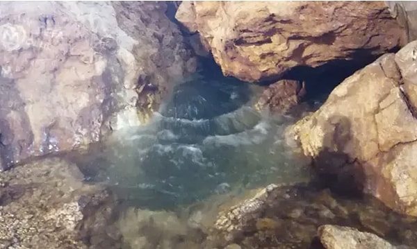 Narlıkuyu Mahallesi Muhtarı İrfan Aydın, bölgedeki sevinci şu sözlerle dile getirdi: