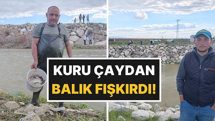 Kurak Çaydan Balık Fışkırdı: 10 Yıl Sonra Akın Ettiler