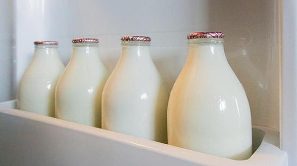 How to Organize Your Refrigerator? Here are the Golden Rules