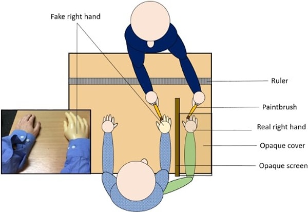 Propriyosepsiyon: Bedenimizi Nasıl Hissediyoruz?