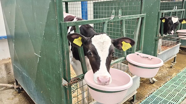 Burdur Mehmet Akif Ersoy Üniversitesi (MAKÜ), tarımda verimi artırmak ve genç nüfusu üretim sürecine dahil etmek için ezber bozan bir projeye öncülük ediyor.