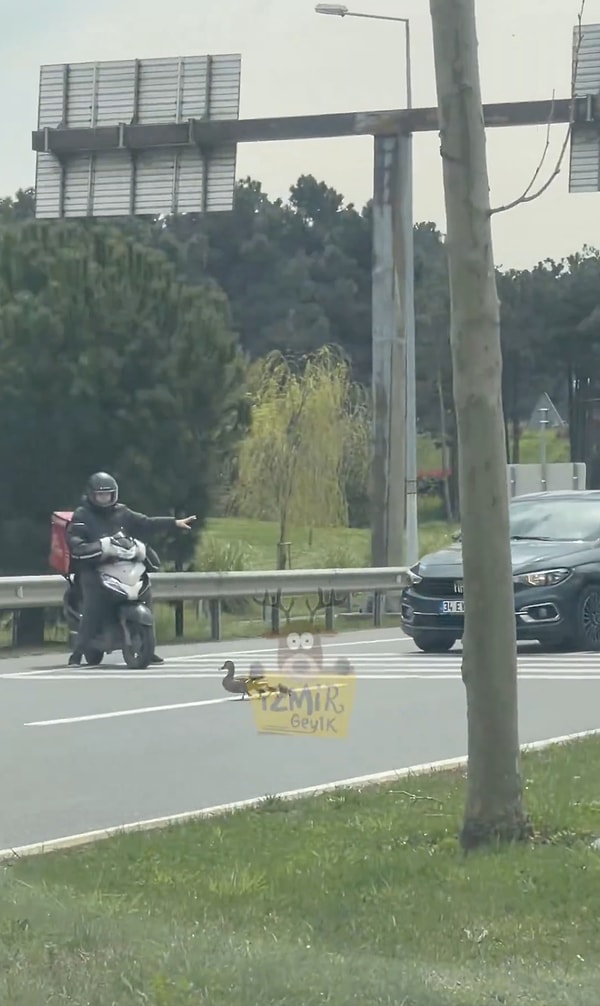 İçimizi ısıtan görüntüler...