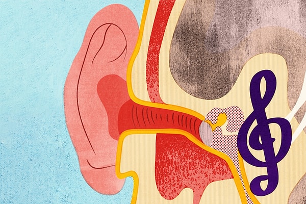 Basit ve Tekrarlayan Melodiler Beyinde Daha Kolay Yer Ediyor