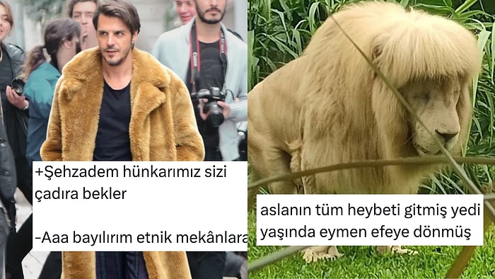 Mehmet Günsür'ün Tarzından Tıraş Edilen Aslana Son 24 Saatin Viral Tweetleri