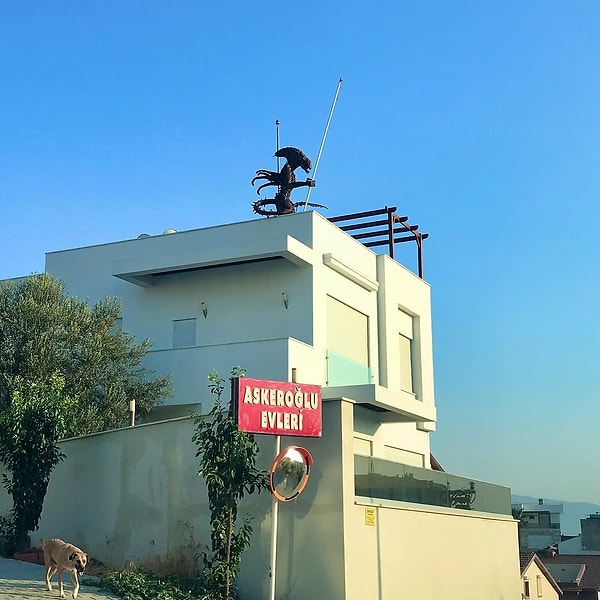 Türkiye’de uzaylı mı gördü?