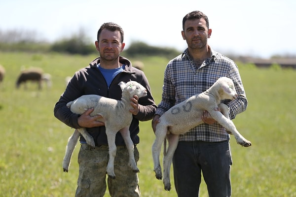 Manyas’ın Eşenköy Mahallesi’nde yaşayan ve biri Kimya diğeri Muhasebe mezunu olan Sömer kardeşler, şehir hayatı yerine üretimi seçerek büyük bir başarı hikayesine imza attı.