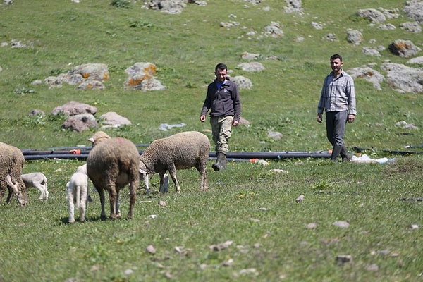 Mesleği çocuklarına devreden baba Vahdettin Sömer, 1969 yılından bu yana aynı ırkla çalıştıklarını ifade ederek evlatlarının başarısından duyduğu mutluluğu dile getirdi: