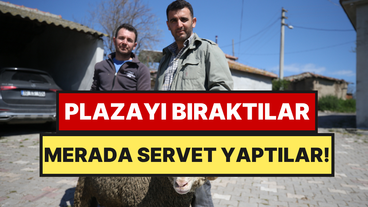 Manyaslı İki Kardeşin 1 Milyonluk Yatırımı Servete Dönüştü: 10 Yılda 30 Kat Büyüdüler