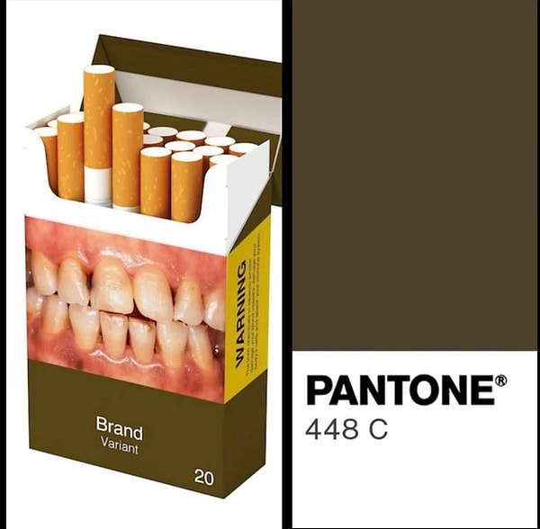 En Çirkin Rengi Bulmak İçin Aylarca Test Yapıldı