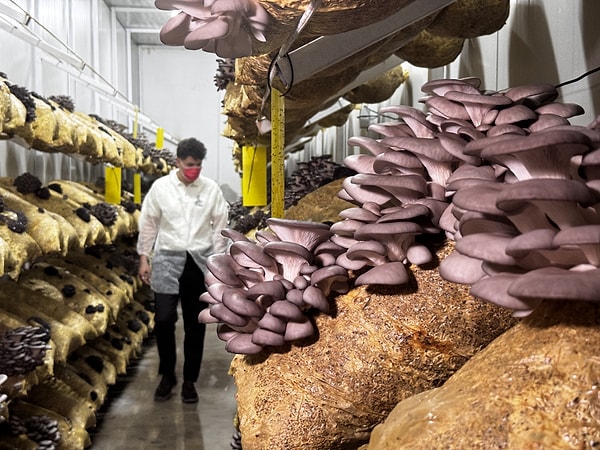 Günaydın, yakaladıkları başarıyı şu sözlerle ifade etti: