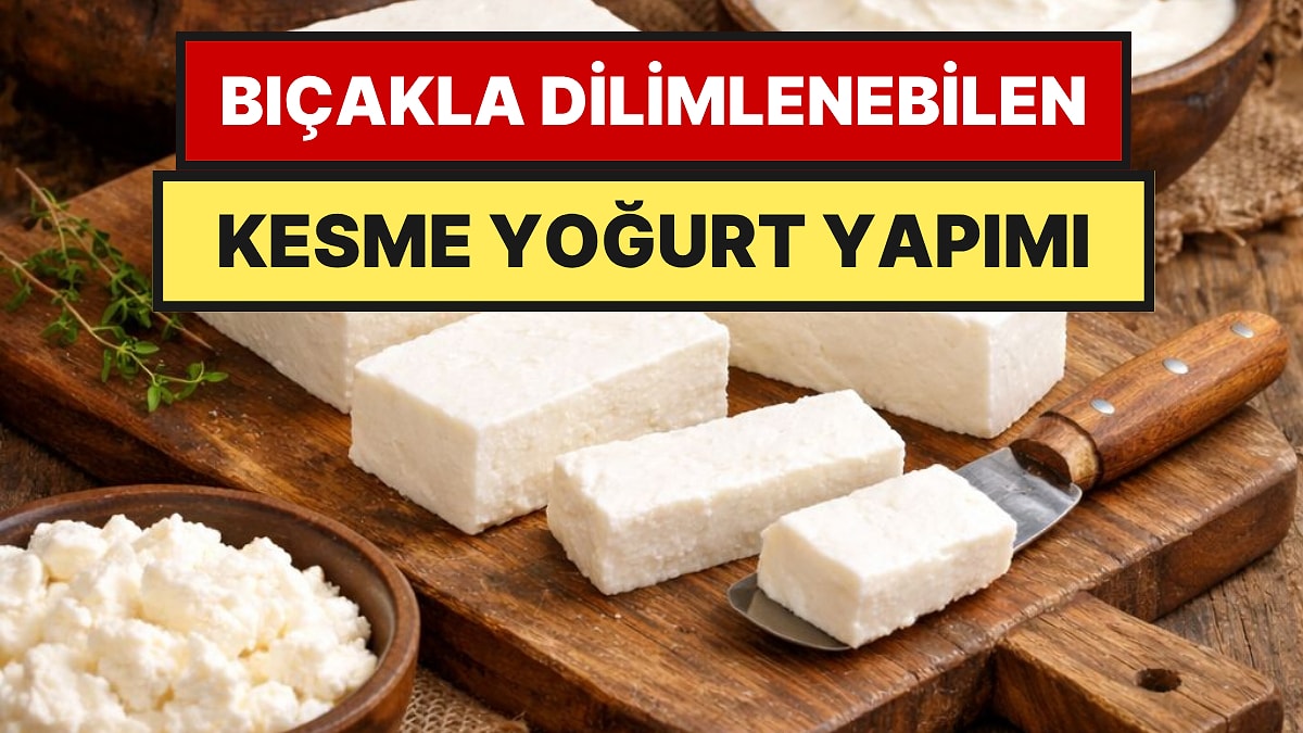 Dilim Dilim Çıkarılabilen Kesme Yoğurt Nasıl Yapılır?
