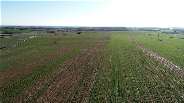 Parayı toprağa yatırmak her kentte kazandırmadı.