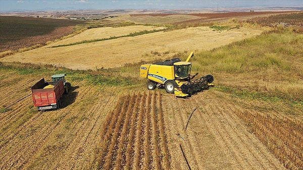 Üç büyükşehir sınıfta kaldı.