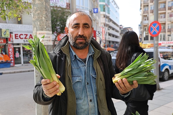 Elazığ ve Tunceli’nin sarp dağlarında kendiliğinden yetişen çiriş otu, kışın sona ermesiyle birlikte köylüler tarafından toplanmaya başlandı.