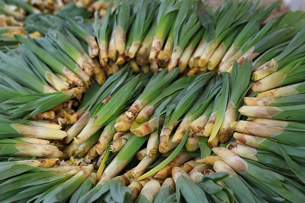 Tunceli dağlarından gelen ürünleri Elazığlılarla buluşturan esnaf Zülfü Güngör şunları söyledi:
