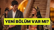 Halef: Köklerin Çağrısı Yeni Bölüm Var mı? Yeni Bölüm Ne Zaman? NOW TV Yayın Akışı