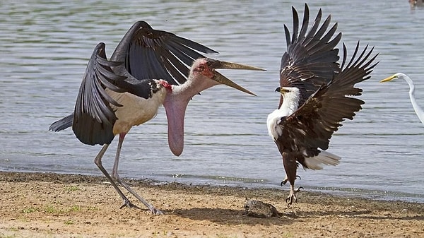 İlk Saldırı Bursa Sınırları İçerisinde Patlak Verdi