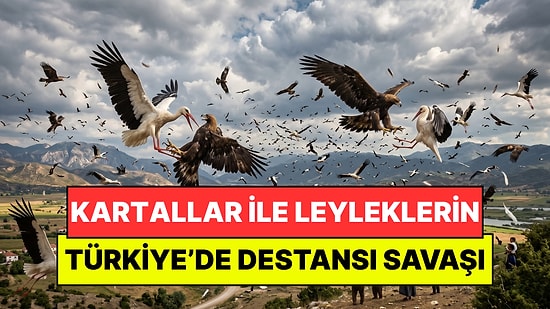 Türkiye Tarihinin En Garip Olayı: Kartallar ile Leyleklerin Günlerce Süren Savaşı